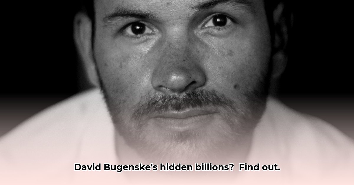david-bugenske-net-worth